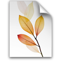 Adobe Creative Suite 2 Standard